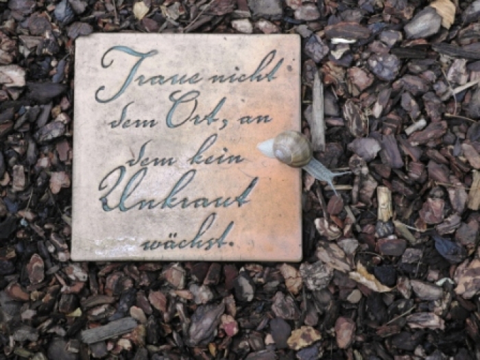 Nützliche Gedanken mit Weinbergschnecke Nützliche Gedanken mit Weinbergschnecke