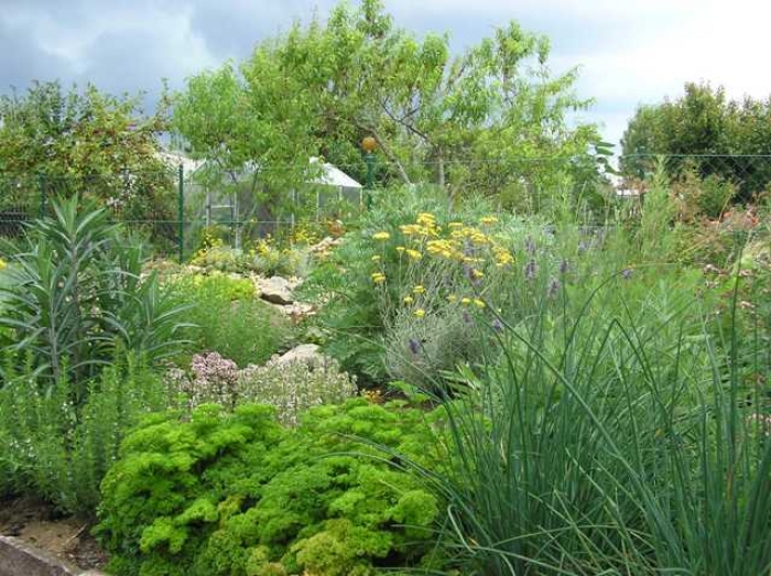 Kraeutergarten Kraeutergarten